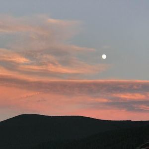 Meet your Posher, Robin